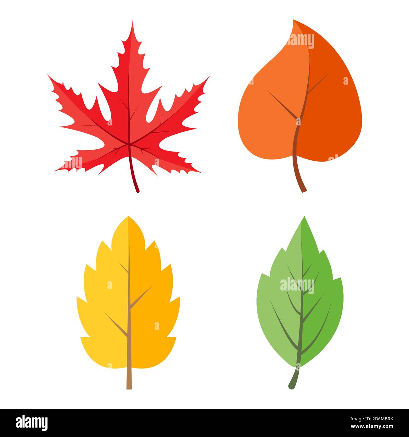 Autumnal leaves icon set isolated on white. Autumn vector foliage illustration. Seasonal clipart in vivid colors. Colourful falling leaf collection. Y Stock Vector