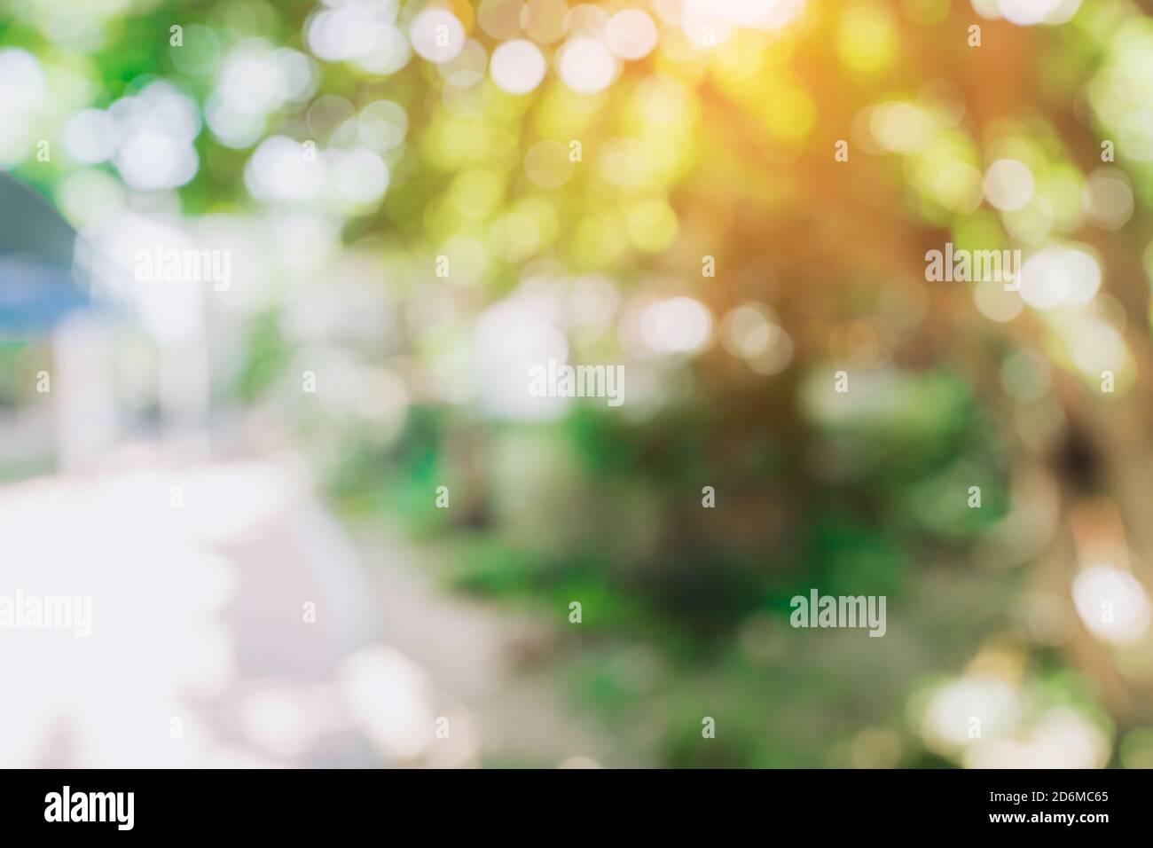defocused bokeh and blur background of garden trees in sunlight Stock Photo  - Alamy