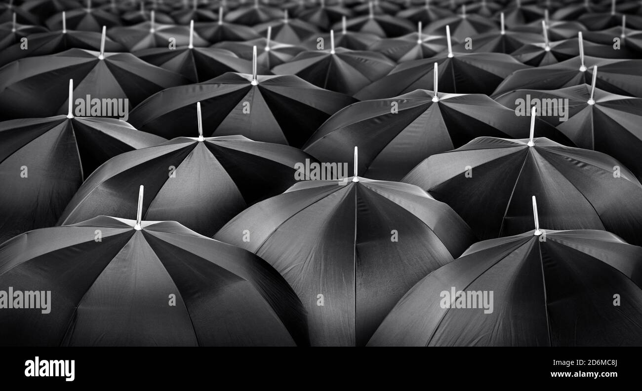 Mass of black umbrellas Stock Photo