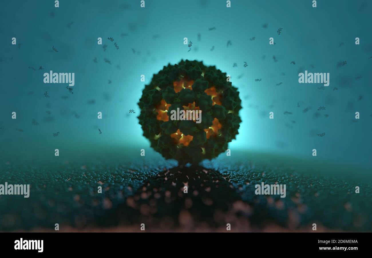 Norovirus (a winter vomiting bug), is the most common cause of