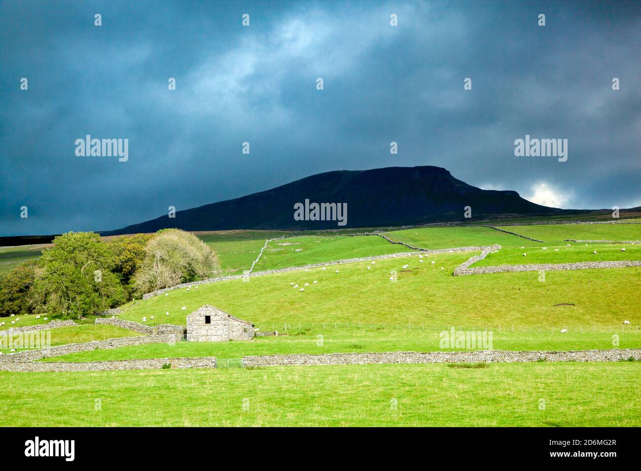 The peak of Pen-y-ghent one of the Yorkshire dales three peaks with drystone walls farmland and buildings with dramatic stormy weather Stock Photo