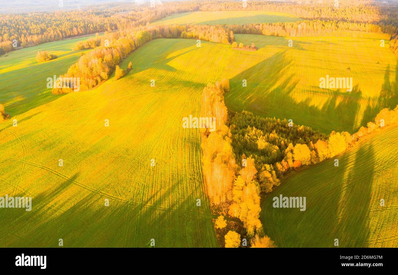 Aerial view of agricultural green field. Plowed agricultural field