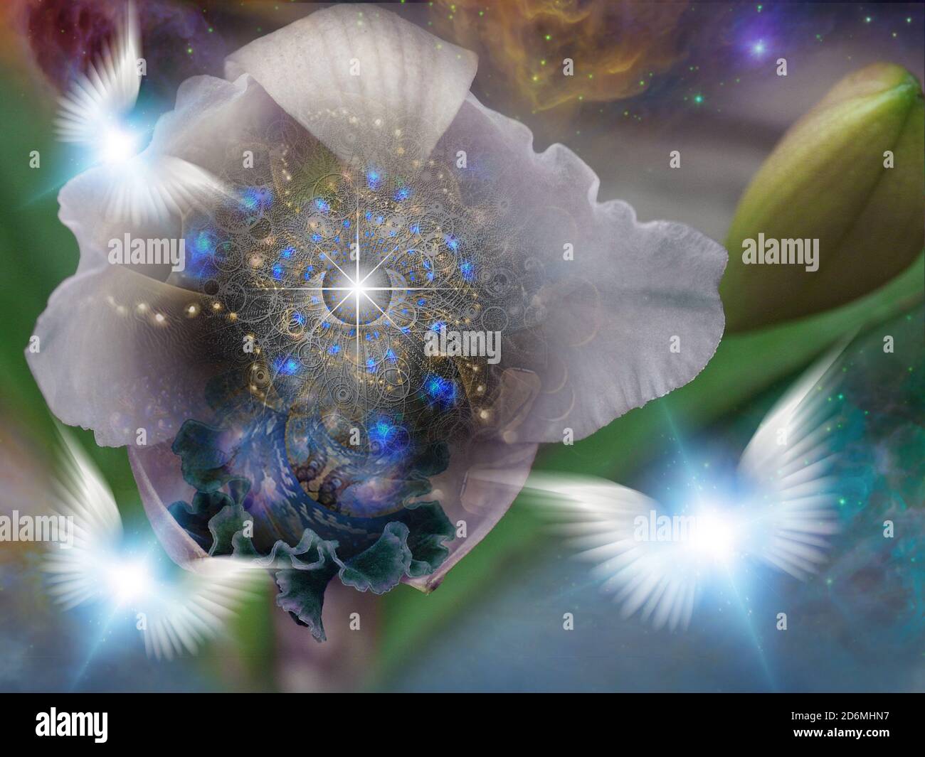 The flower of God Stock Photo Alamy