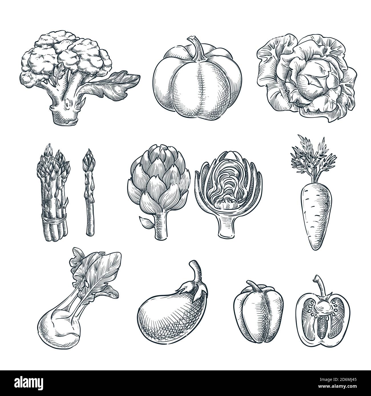 Farm fresh vegetables set. Vector sketch illustration. Hand drawn isolated broccoli, pumpkin, asparagus, artichoke, kohlrabi. Autumn farming and harve Stock Vector