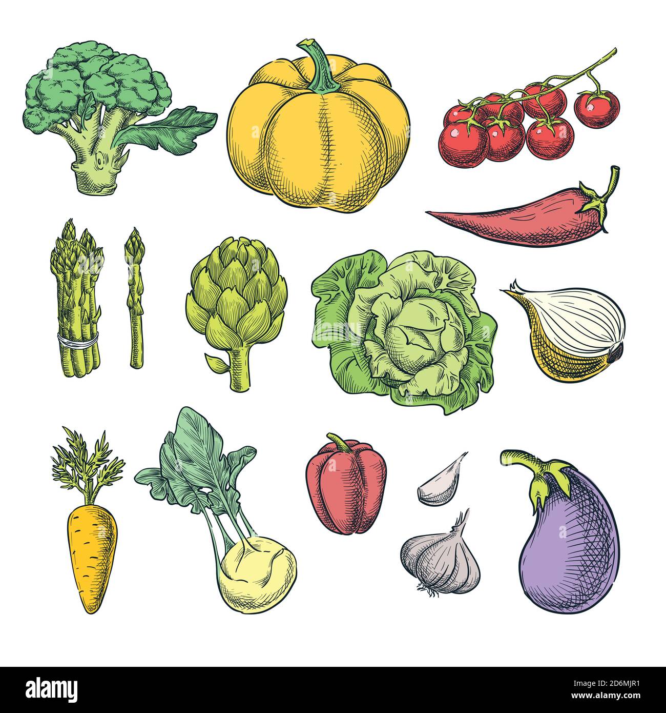 Farm fresh vegetables set. Vector sketch illustration. Autumn farming and harvesting color design elements. Stock Vector