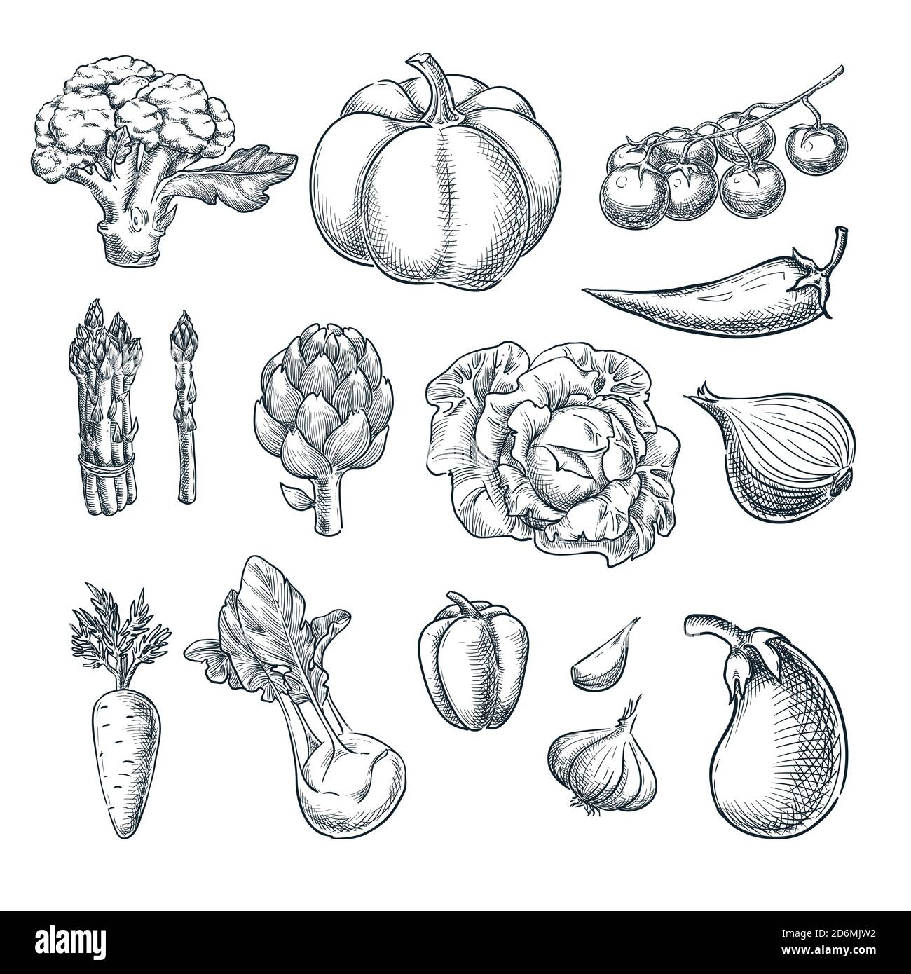 Farm fresh vegetables set. Vector sketch illustration. Autumn farming and harvesting outline design elements. Stock Vector