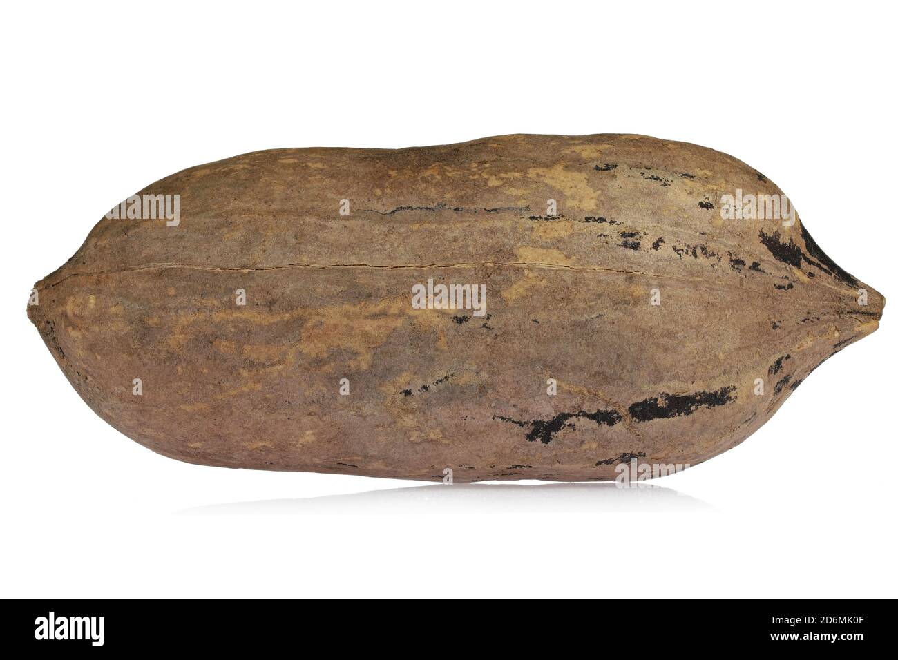 pecan nut isolated on white background Stock Photo