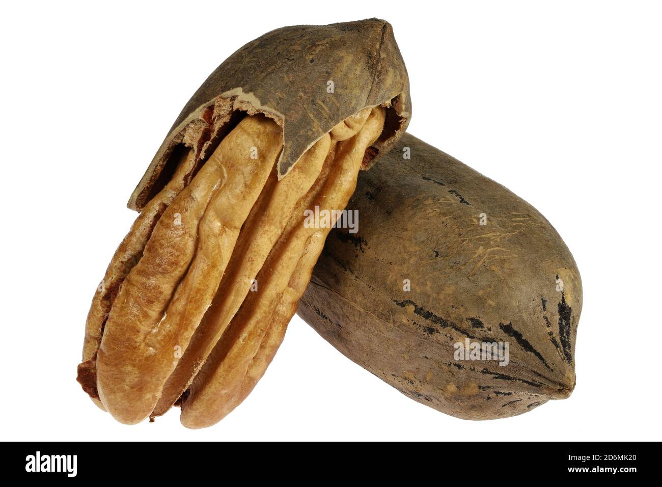 pecan nuts isolated on white background Stock Photo