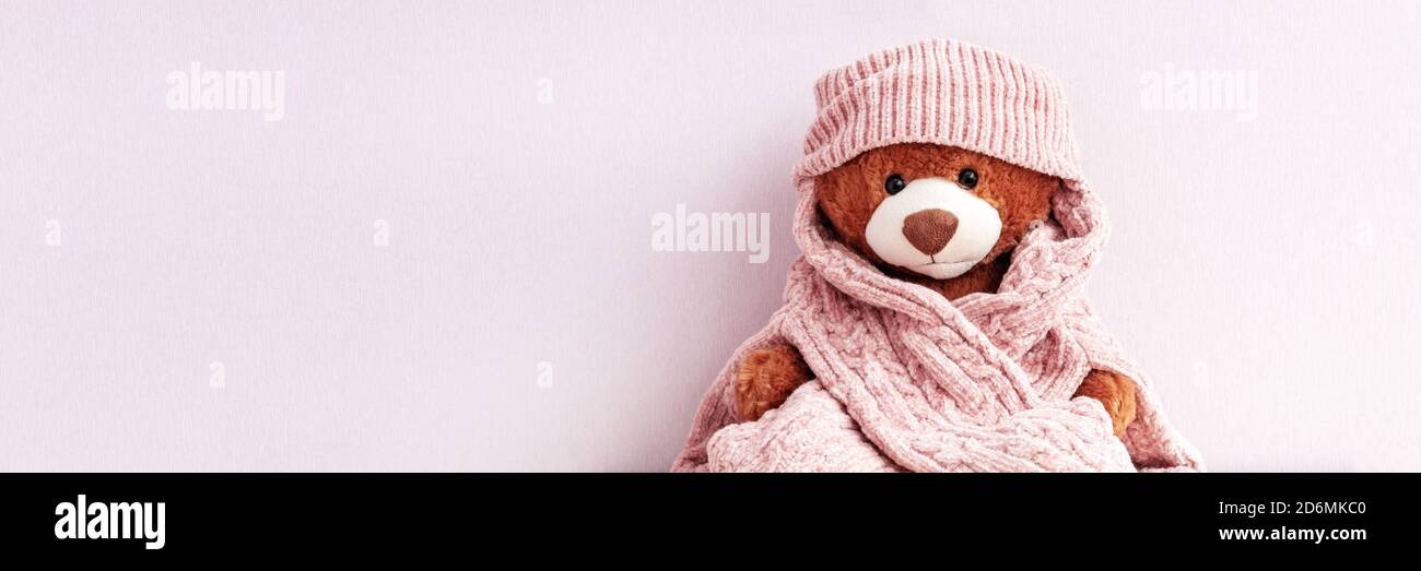 Teddy bear wearing winter clothes, web banner Stock Photo