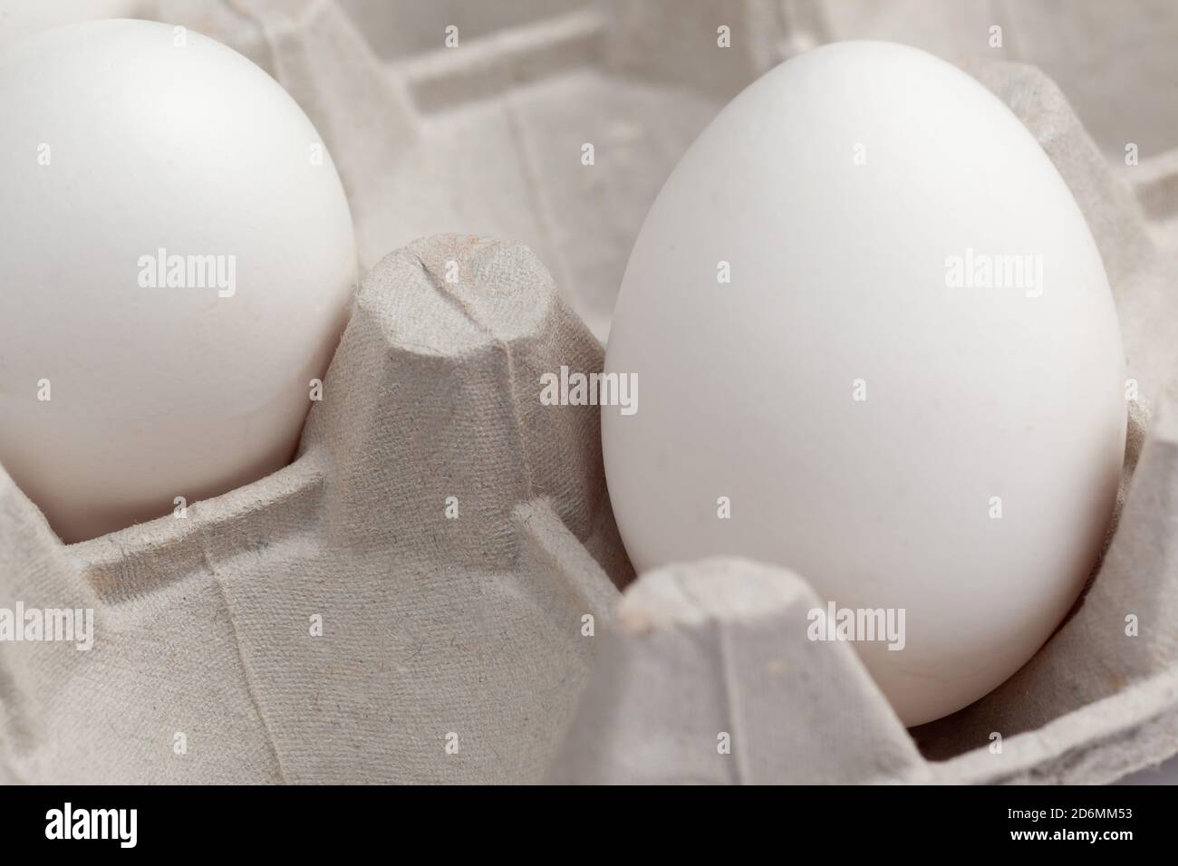 two white chicken eggs in an egg cage Stock Photo Alamy