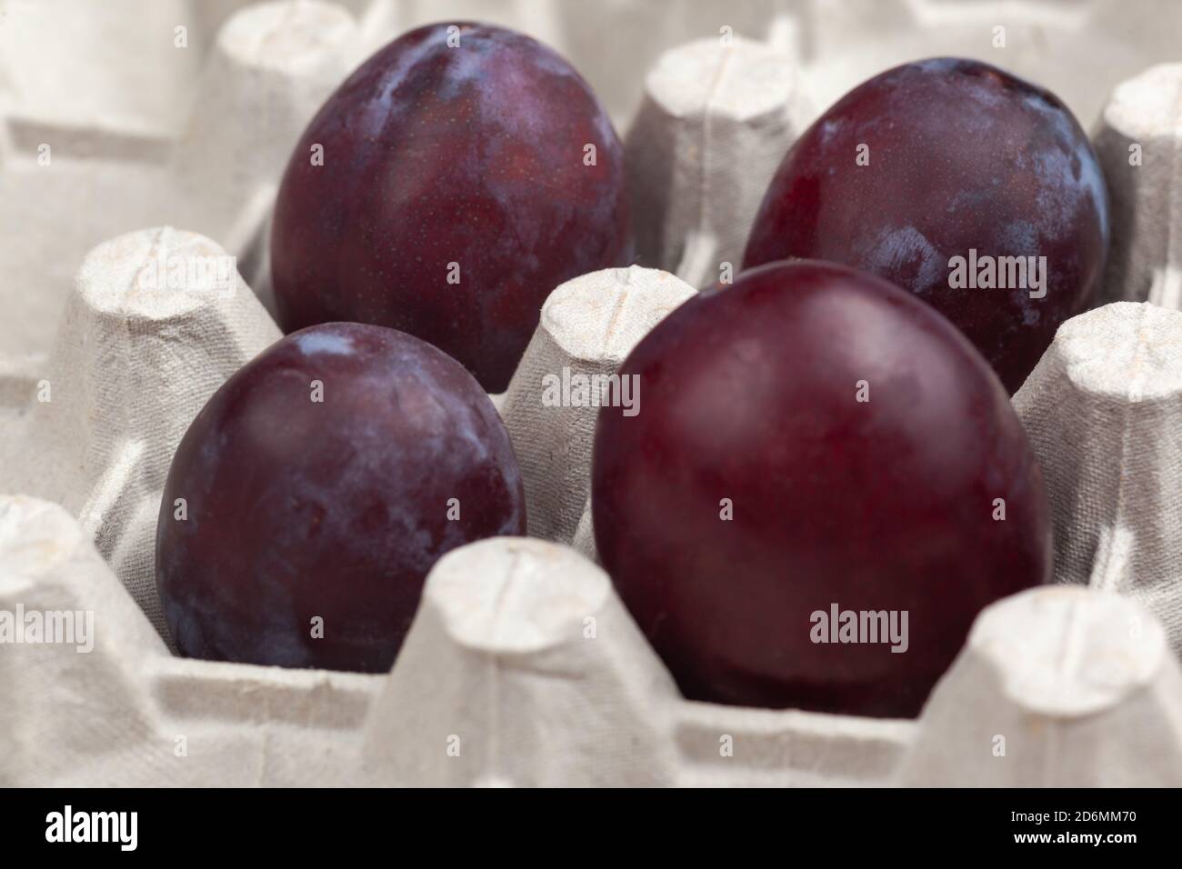 four purple plums Stock Photo