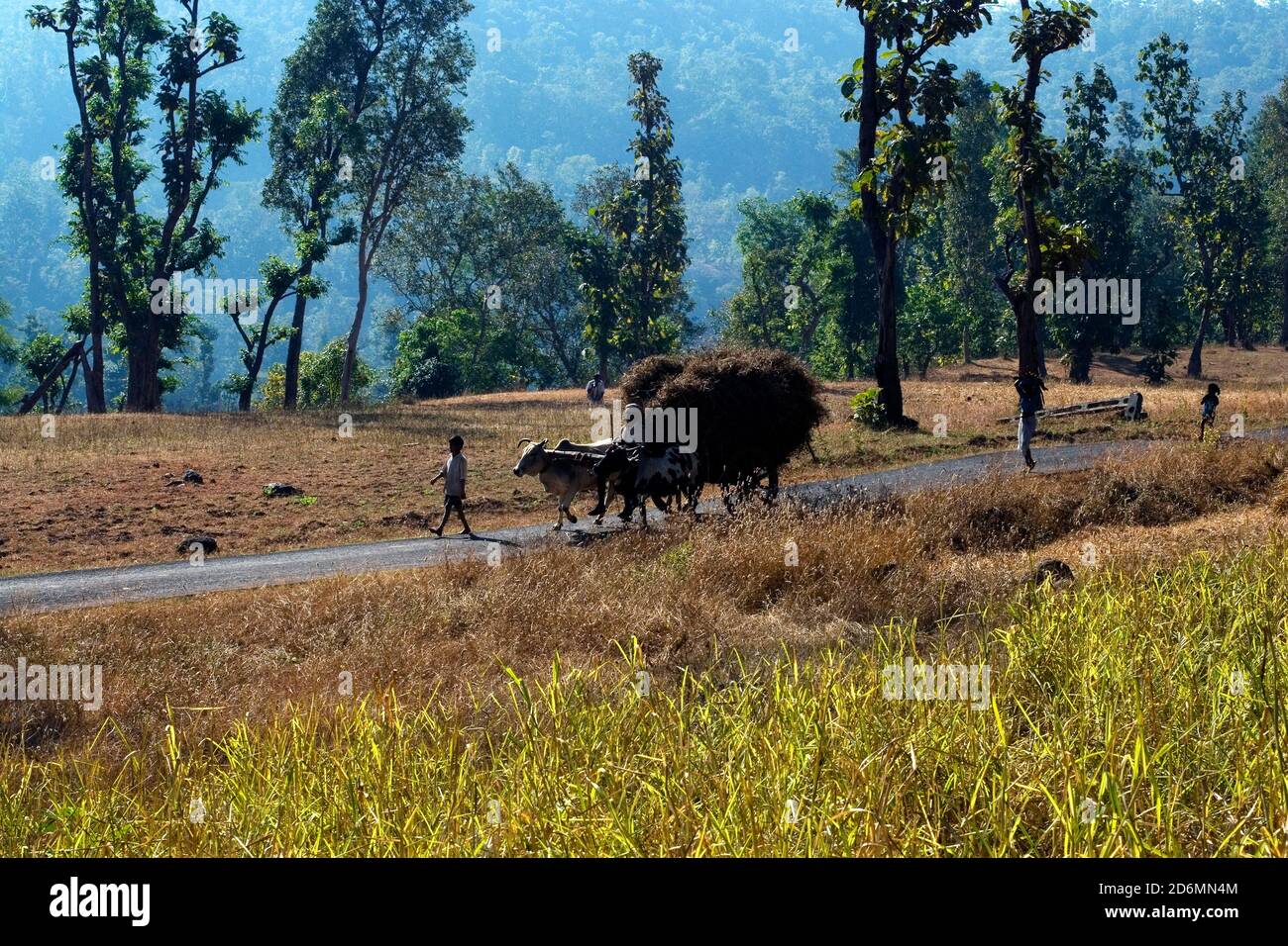 saputara - dang, Gujarat , India Stock Photo