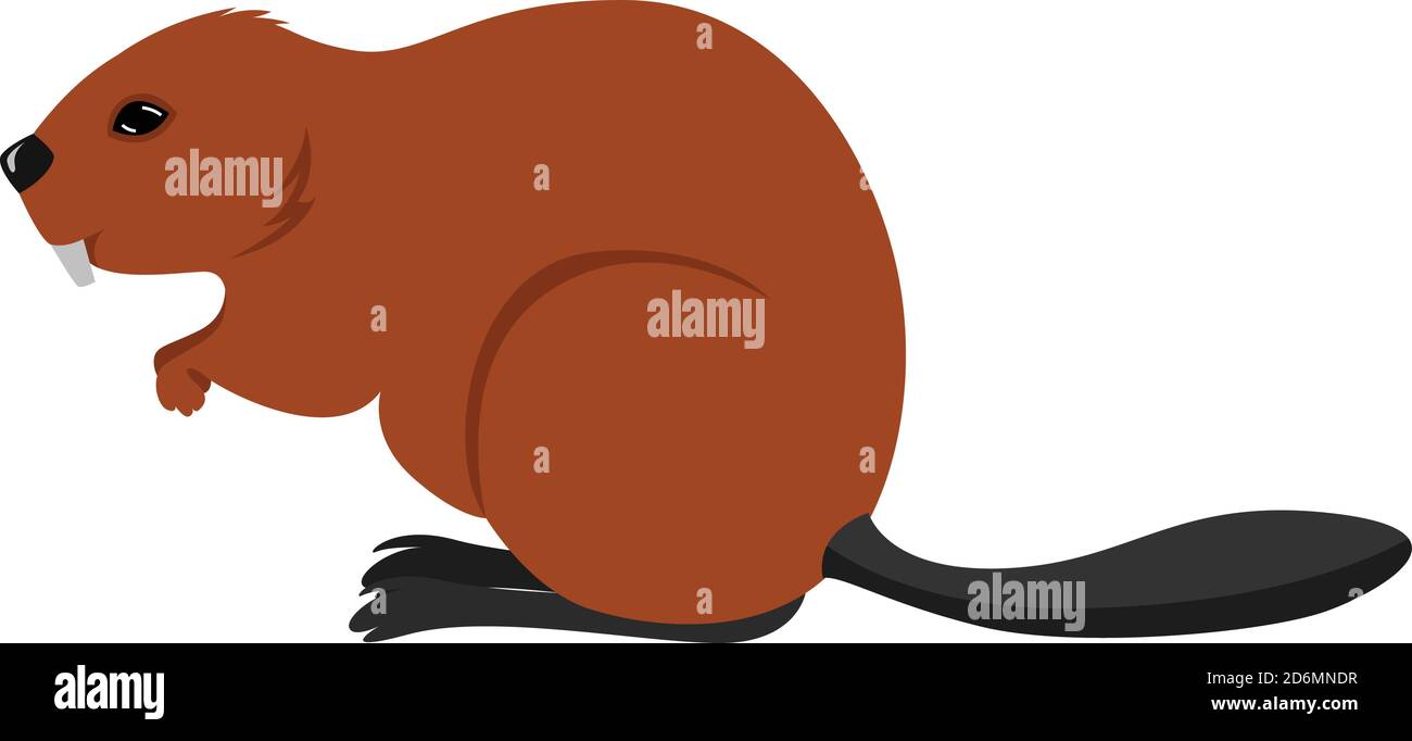Small beaver, illustration, vector on white background Stock Vector