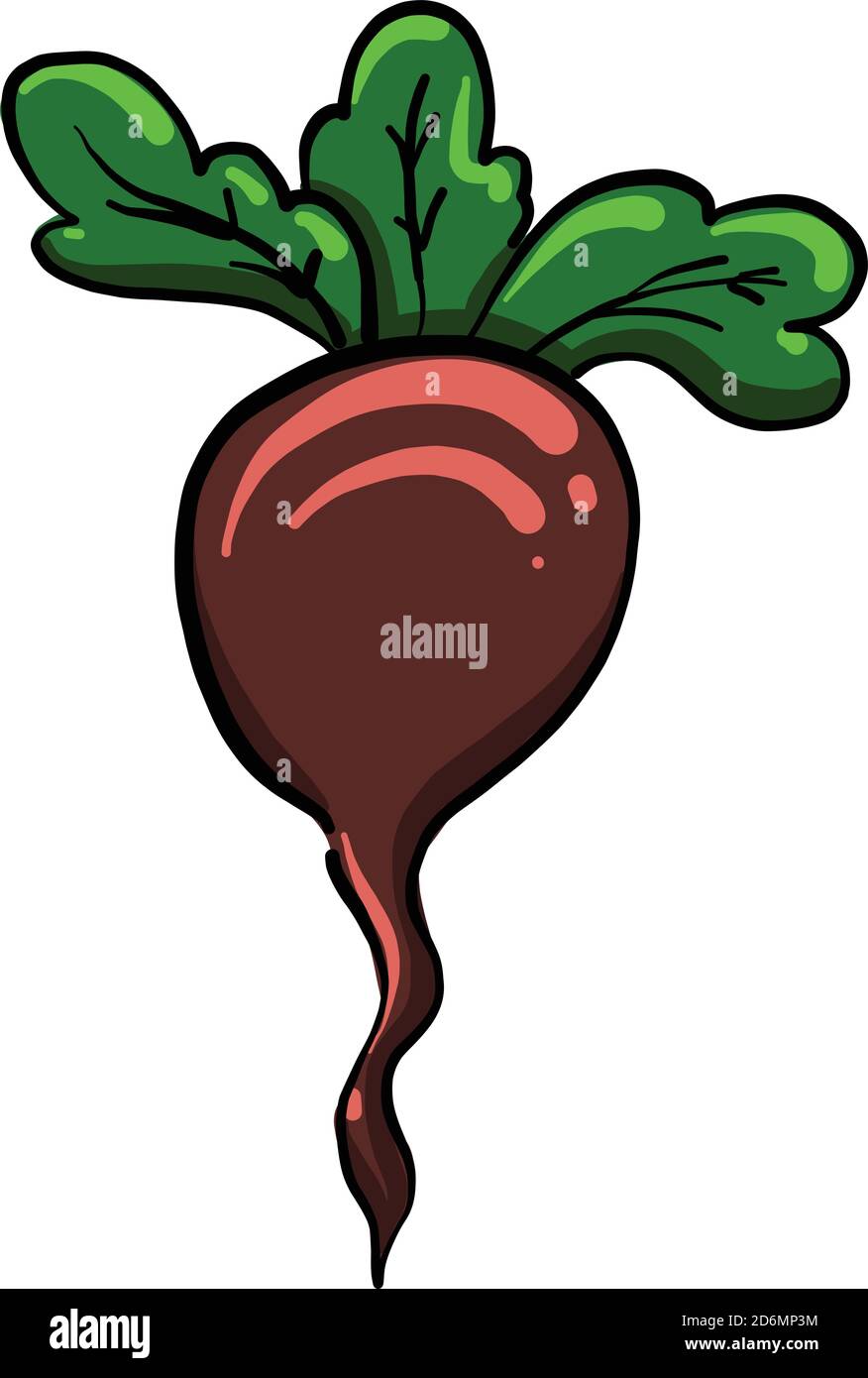 Beet with leaves, illustration, vector on white background Stock Vector