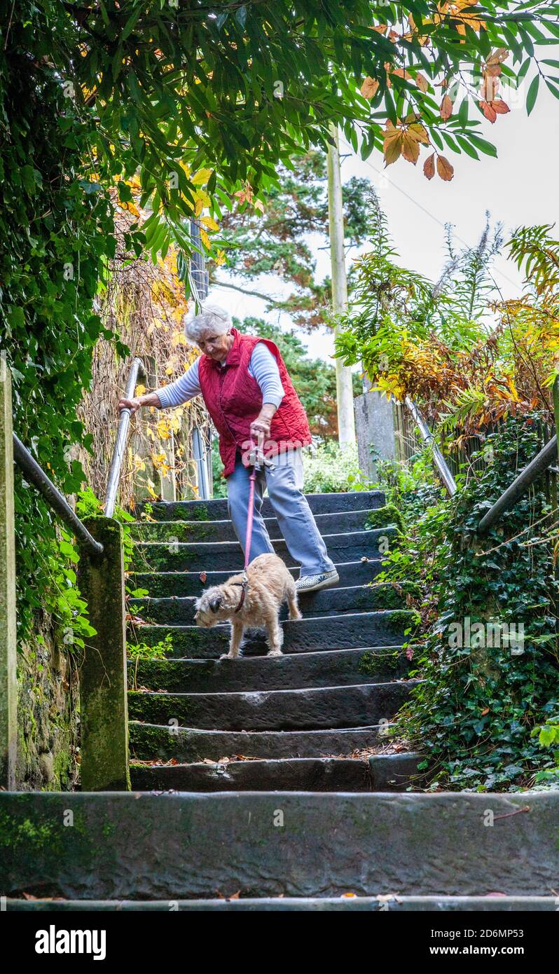 Elderly old age pensioner senior citizen walking dog down the  radical steps at Kirkby Lonsdale England UK Stock Photo