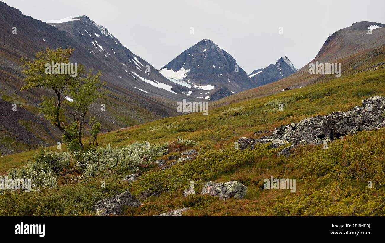 Unna Räita Valley in Kebnekaise mountains, Norrbotten, Sweden Stock Photo