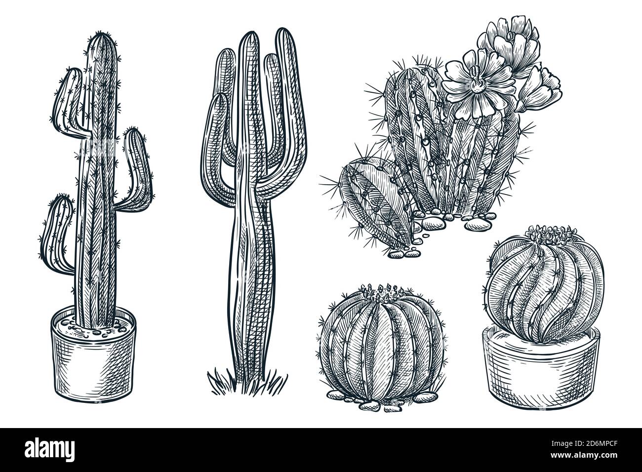 flower pot pencil drawing  Cactus drawing, Nature art drawings, Art  drawings sketches simple