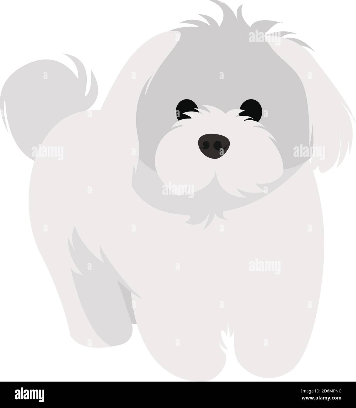 White bichon, illustration, vector on white background Stock Vector