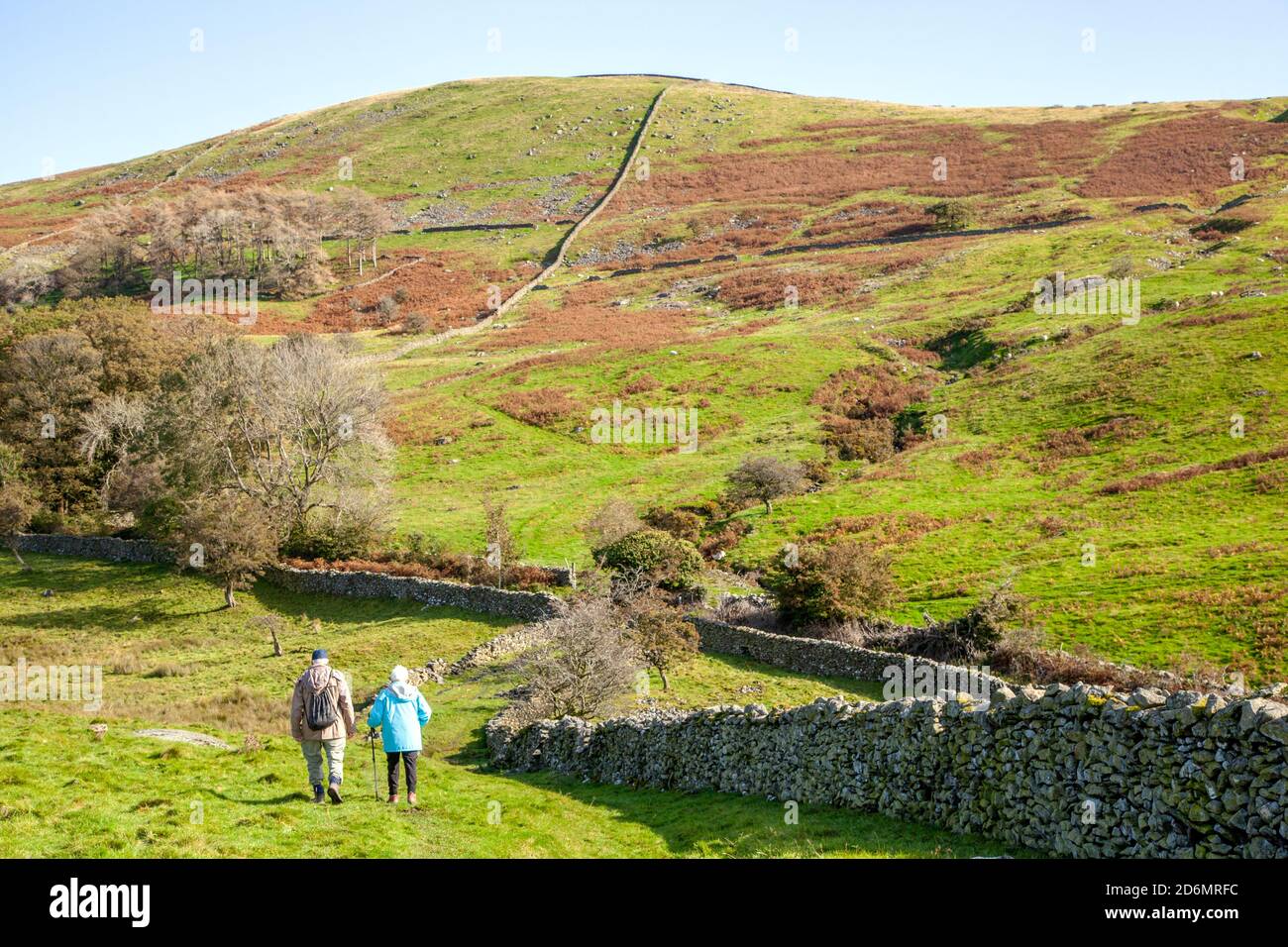 Elderly man and woman couple pensioners senior citizens  walking rambling backpacking in the north Yorkshire Dales in the hills above Kirkby Lonsdale Stock Photo