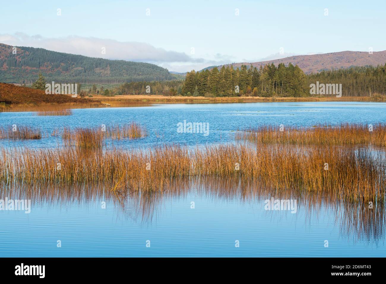 Stroan Loch in autumn, Galloway Forest, Dumfries & Galloway, Scotland Stock Photo