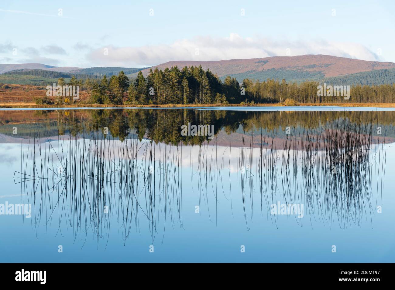 Reflections in Stroan Loch in autumn, Galloway Forest, Dumfries & Galloway, Scotland Stock Photo