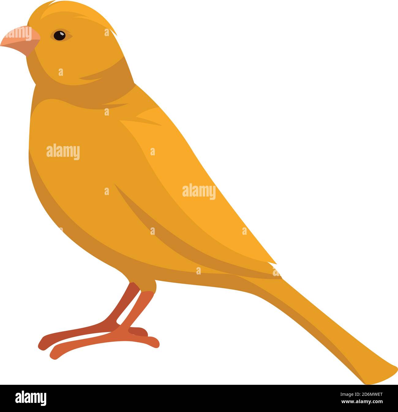 Yellow canary, illustration, vector on white background Stock Vector