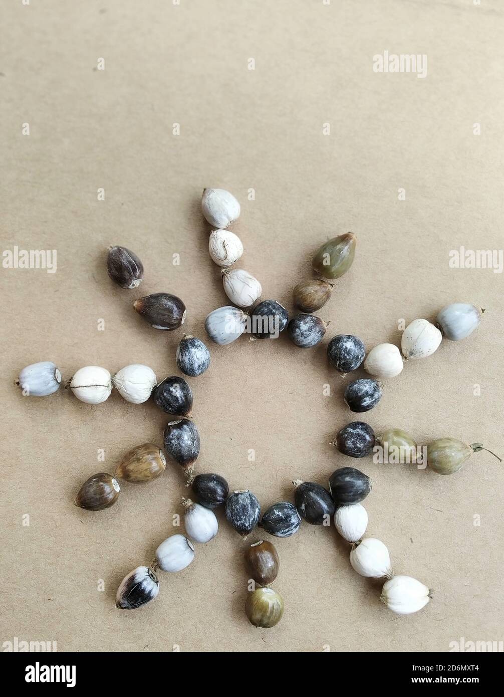 Star form hi-res stock photography and images - Alamy Star form hi-res stock photography and images - Alamy