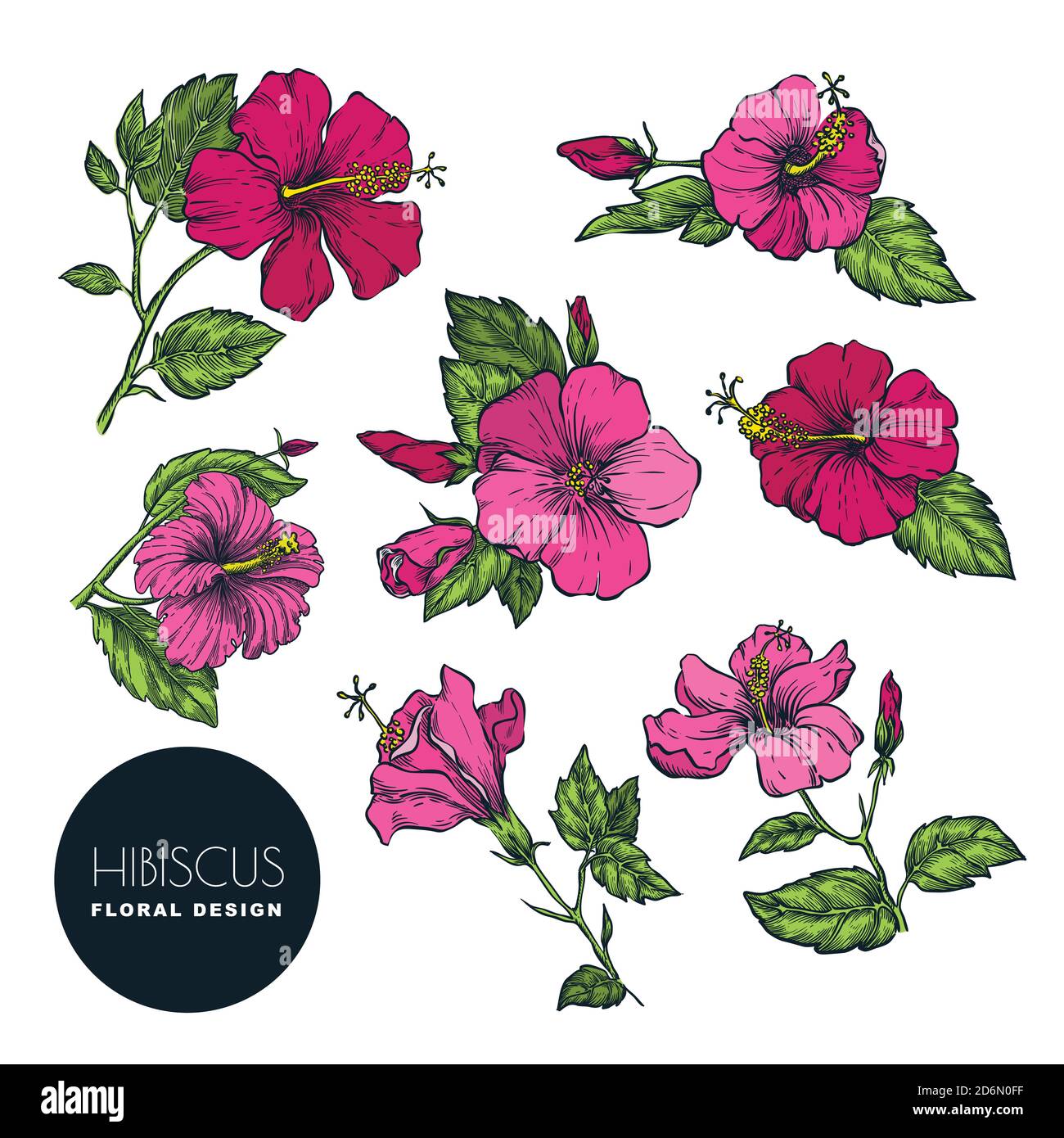 Tropical flowers set, vector color sketch illustration. Hand drawn tropic nature and floral design elements. Hibiscus isolated on white background. Stock Vector