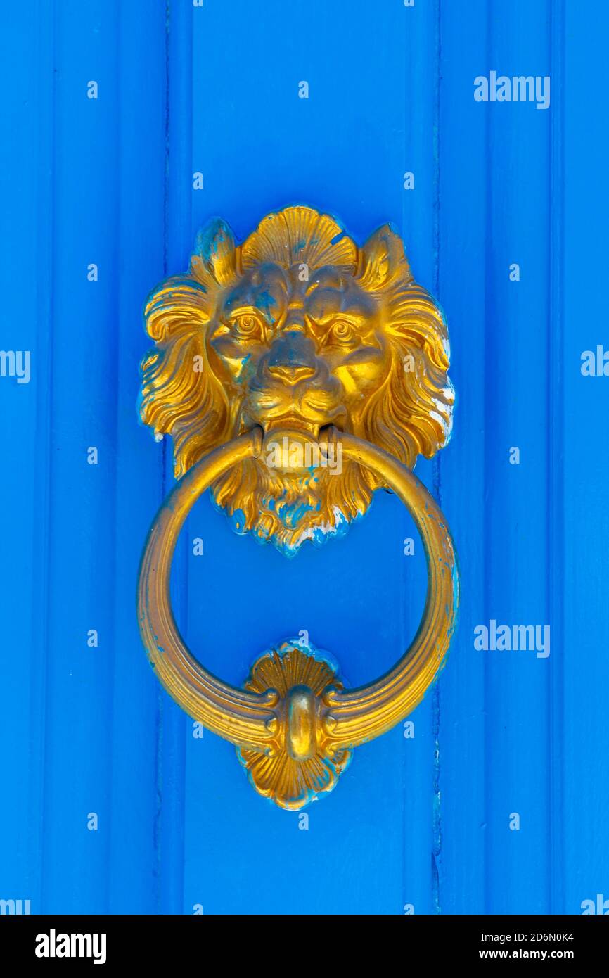 door knock handle with a picture of a lion against the background of a blue wooden door Stock Photo