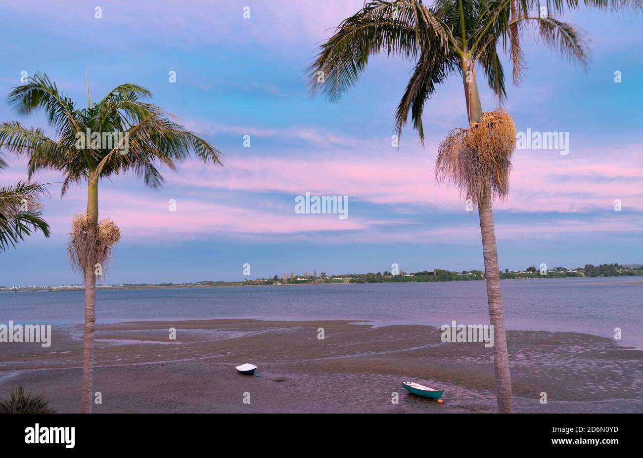 Beautiful sunset colors and tropical palm trees silhouetted over beach ...