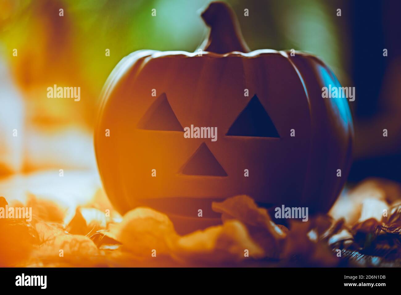 Closeup Photo of a Pumpkin with Traditionally Carved Face. Autumnal Garden in Sunny Day. Jack o Lantern for Halloween Party. American Holiday. Stock Photo