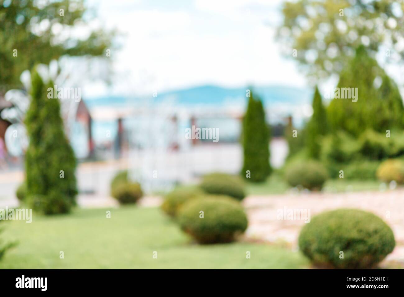 Decorative green of summer Park. Blurred Stock Photo - Alamy