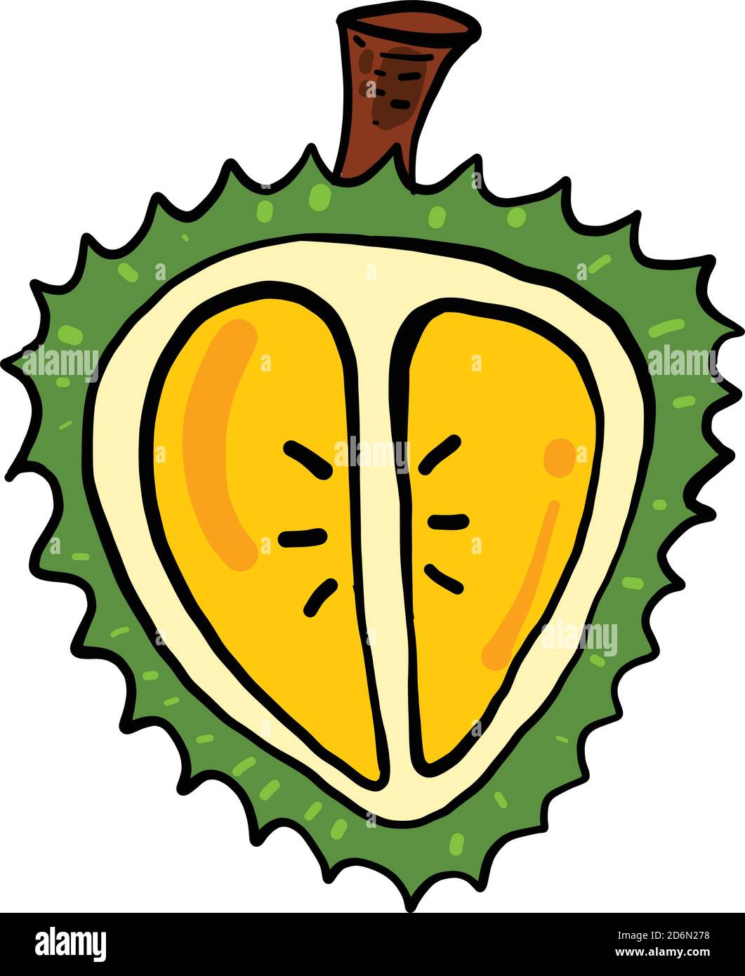 Durian in half, illustration, vector on white background Stock Vector