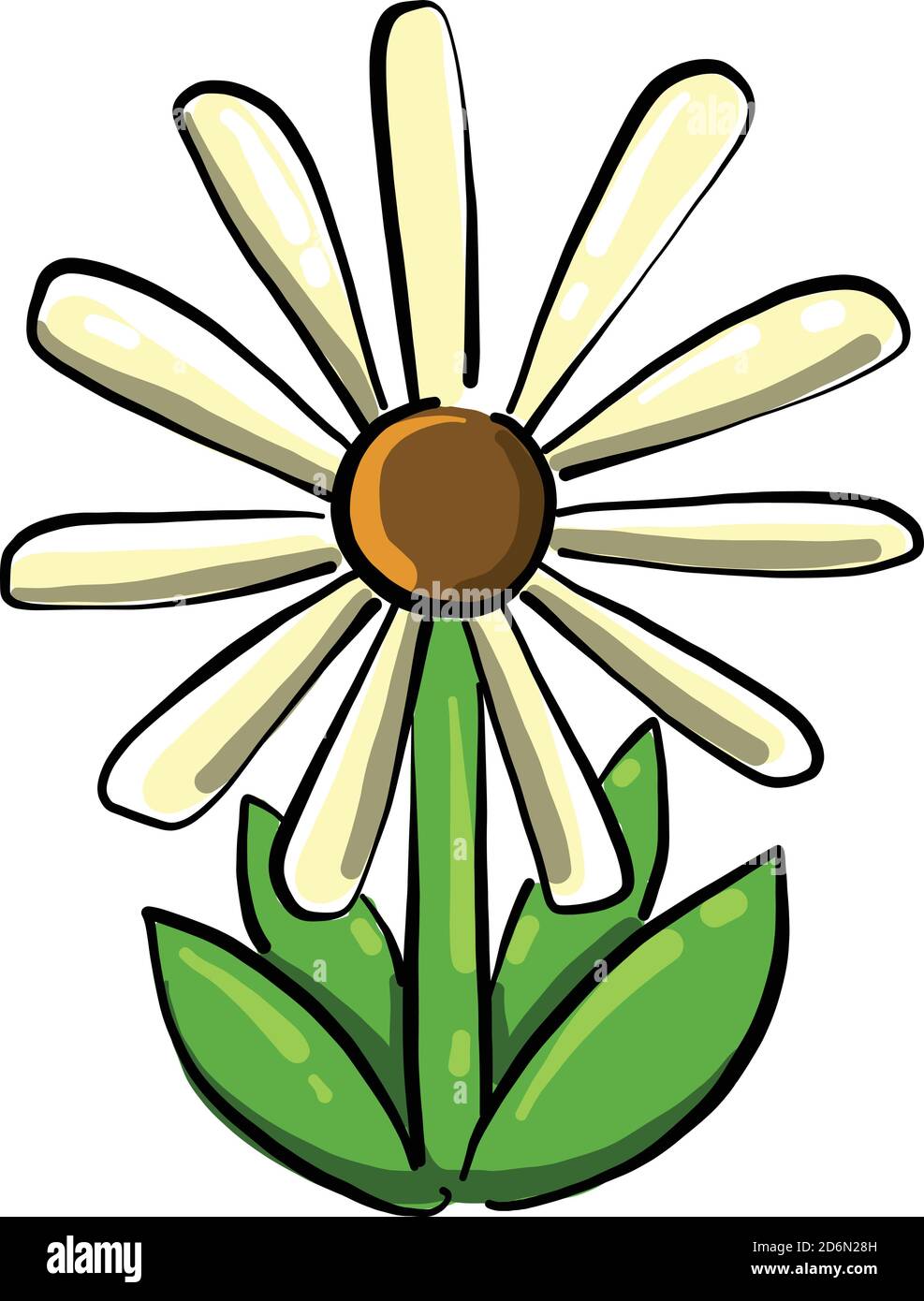 White Daisy, Illustration, Vector On White Background Stock Vector 