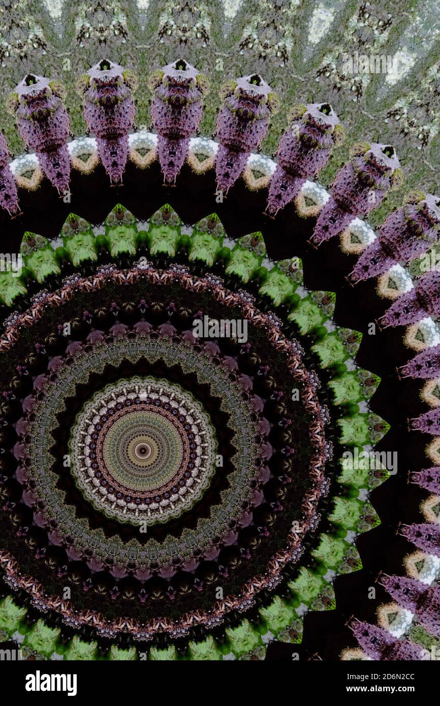 Kaleidoscope Pattern High Resolution Stock Photography and Images - Alamy