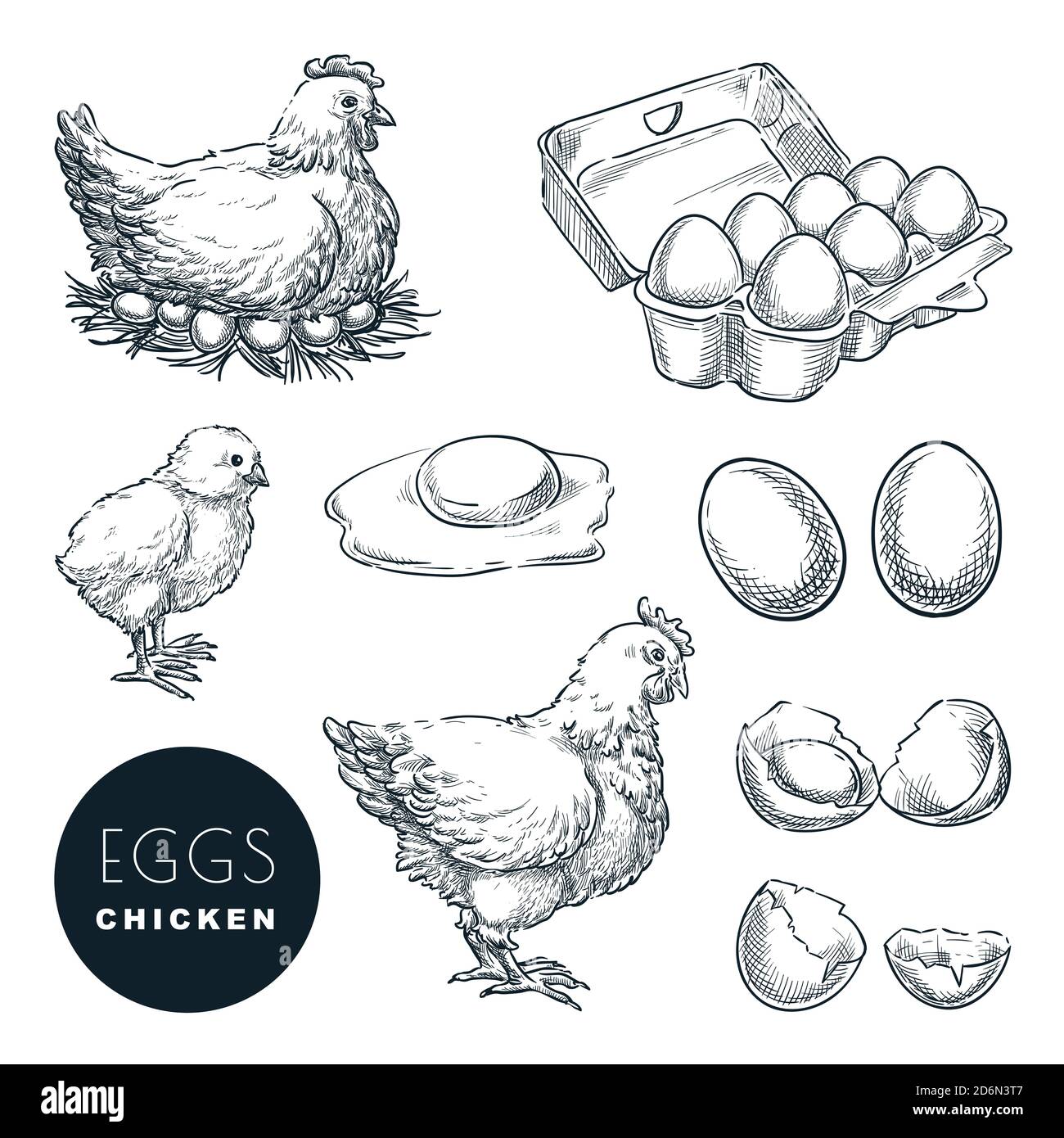 Chicken farm fresh eggs. Vector set of sketch design elements. Hand drawn hen, poultry and little chicken, isolated on white background. Stock Vector