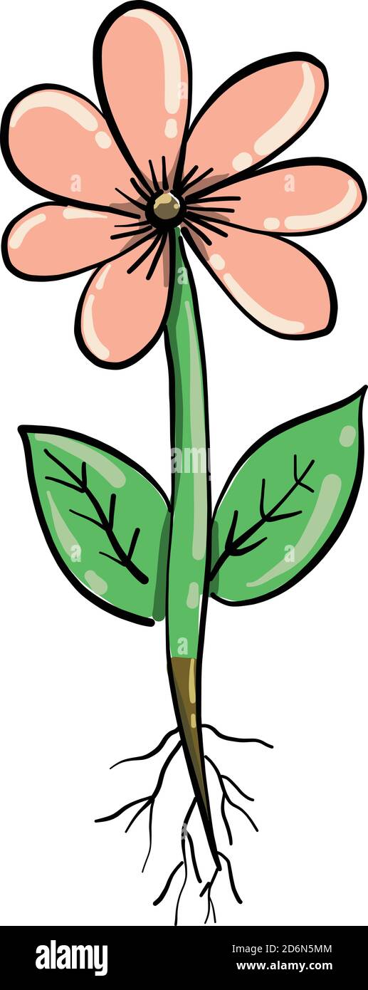 Flower with roots, illustration, vector on white background Stock Vector