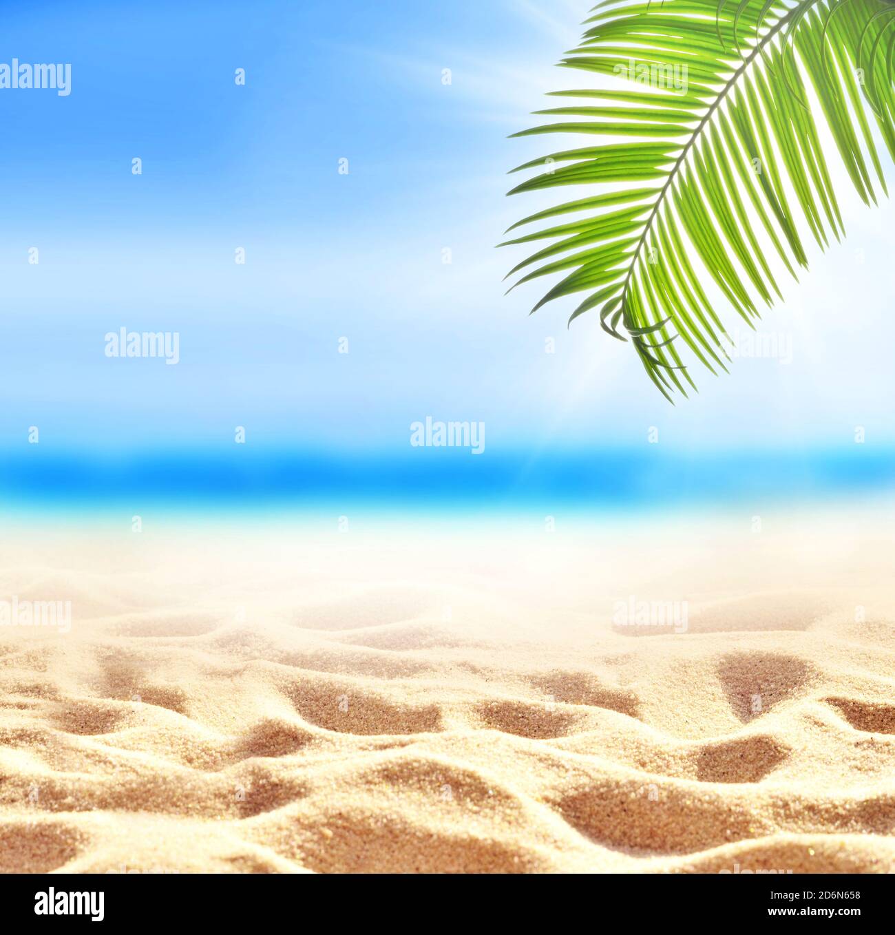 Summer sand beach background. Green palm leaf, sea and sky. Summer