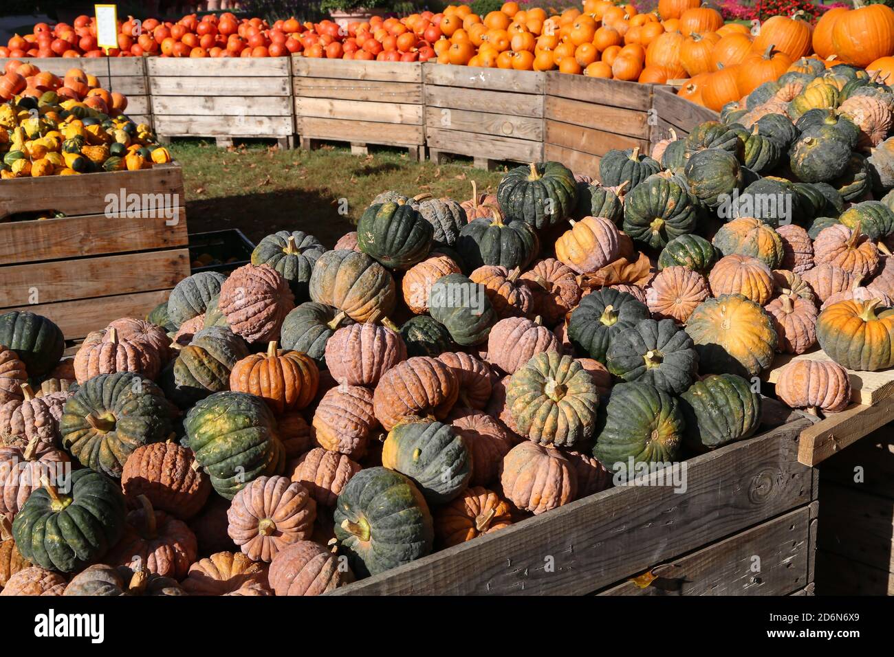 Beautiful shot huge piles hi-res stock photography and images - Alamy