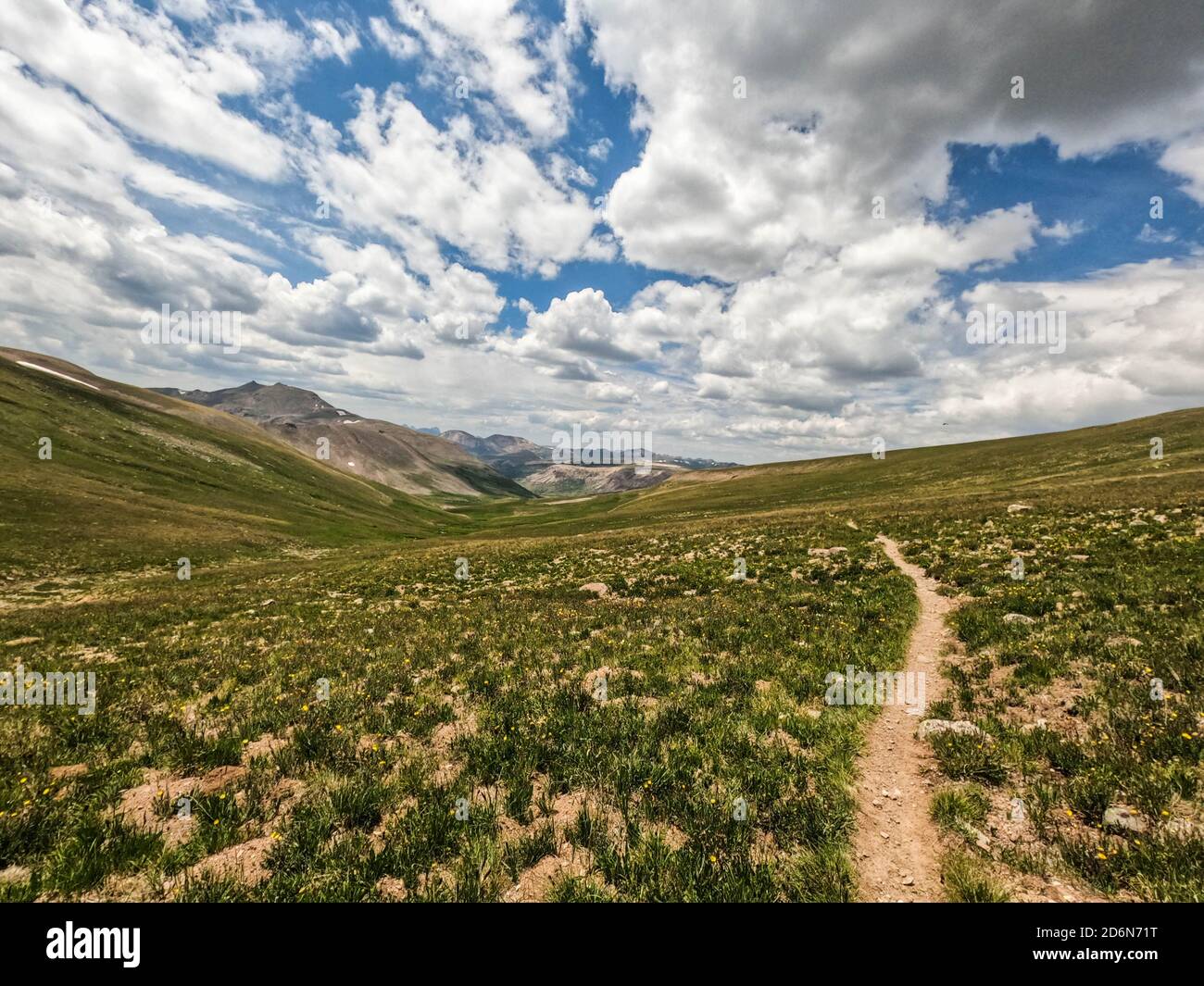 San juan mountains wildflowers hi-res stock photography and images - Alamy
