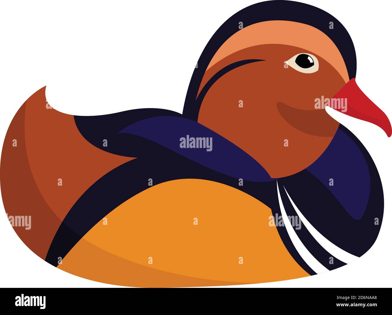 Mandarin duck, illustration, vector on white background Stock Vector