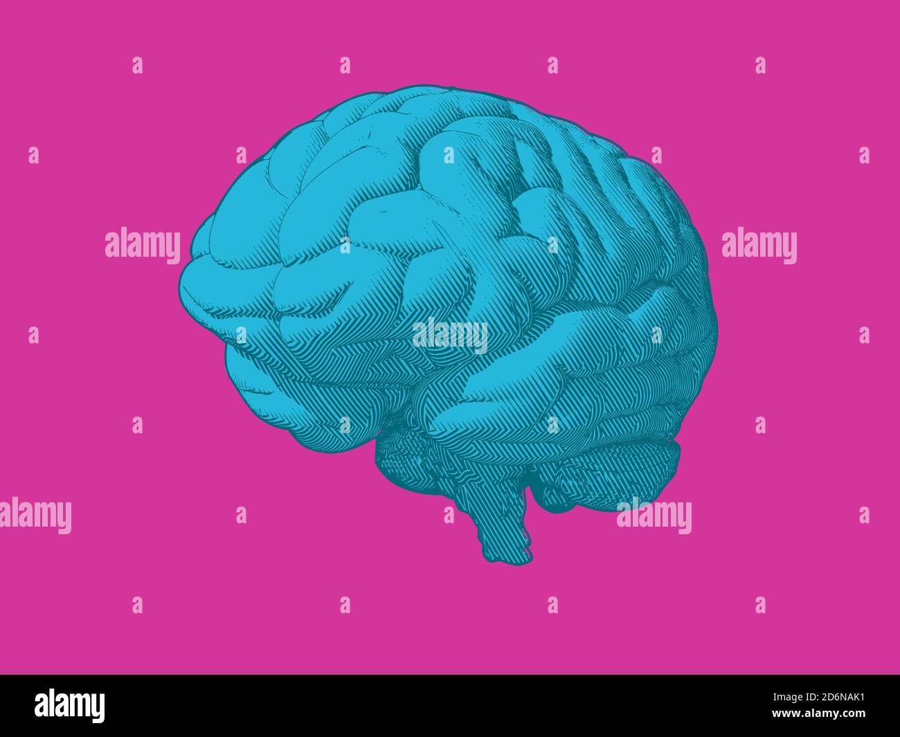Engraving blue brain in oblique perspective view isolated on pink ...