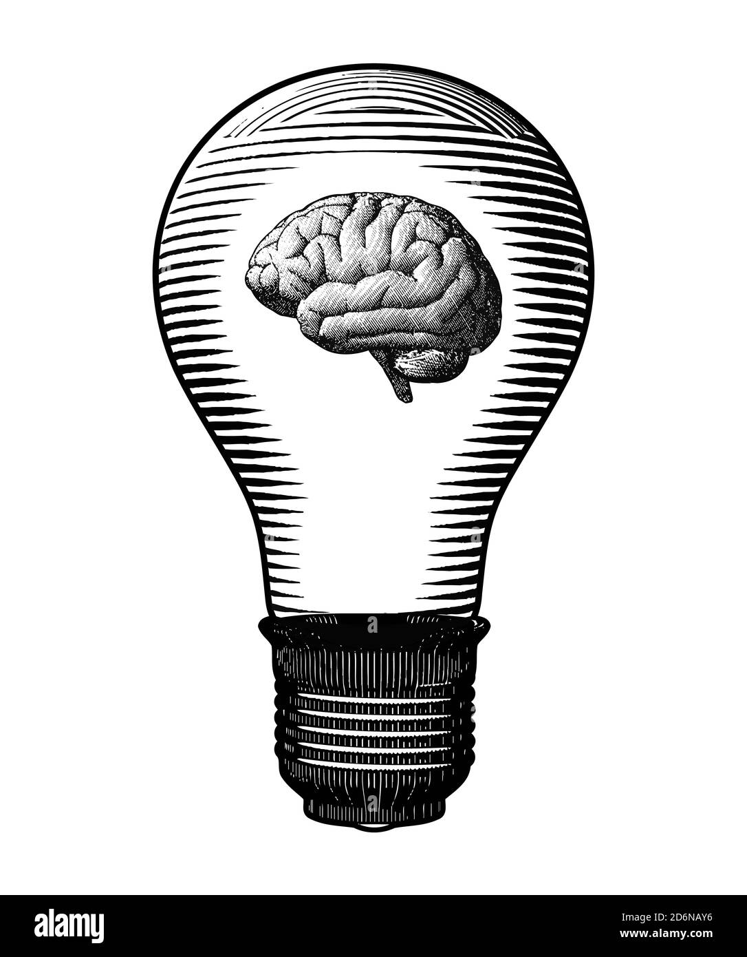 Brain inside the light bulb black and white engraving drawing style  isolated on white background Stock Photo - Alamy
