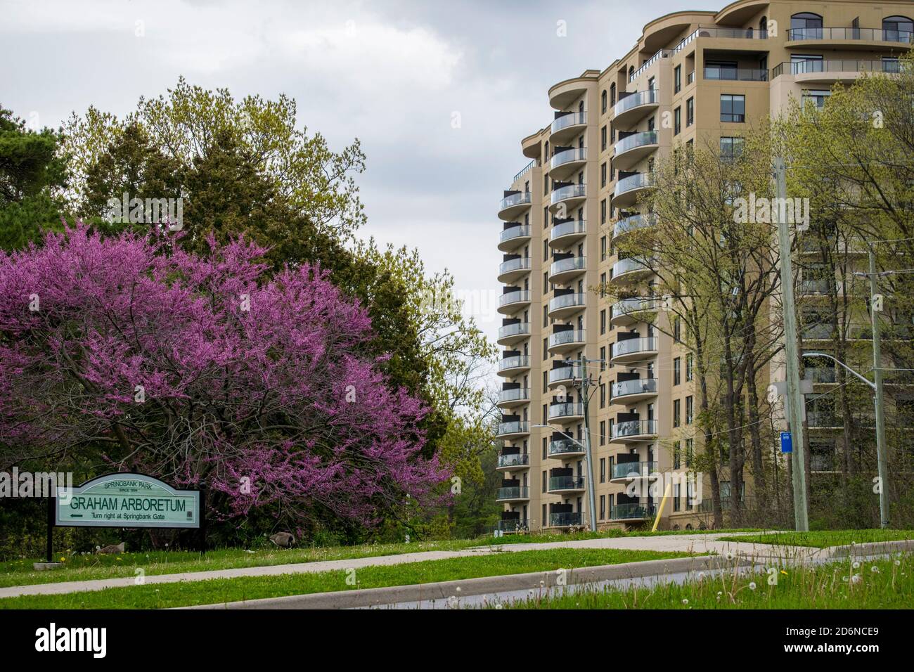 A luxury apartment building in London Ontario next to Springbank Park