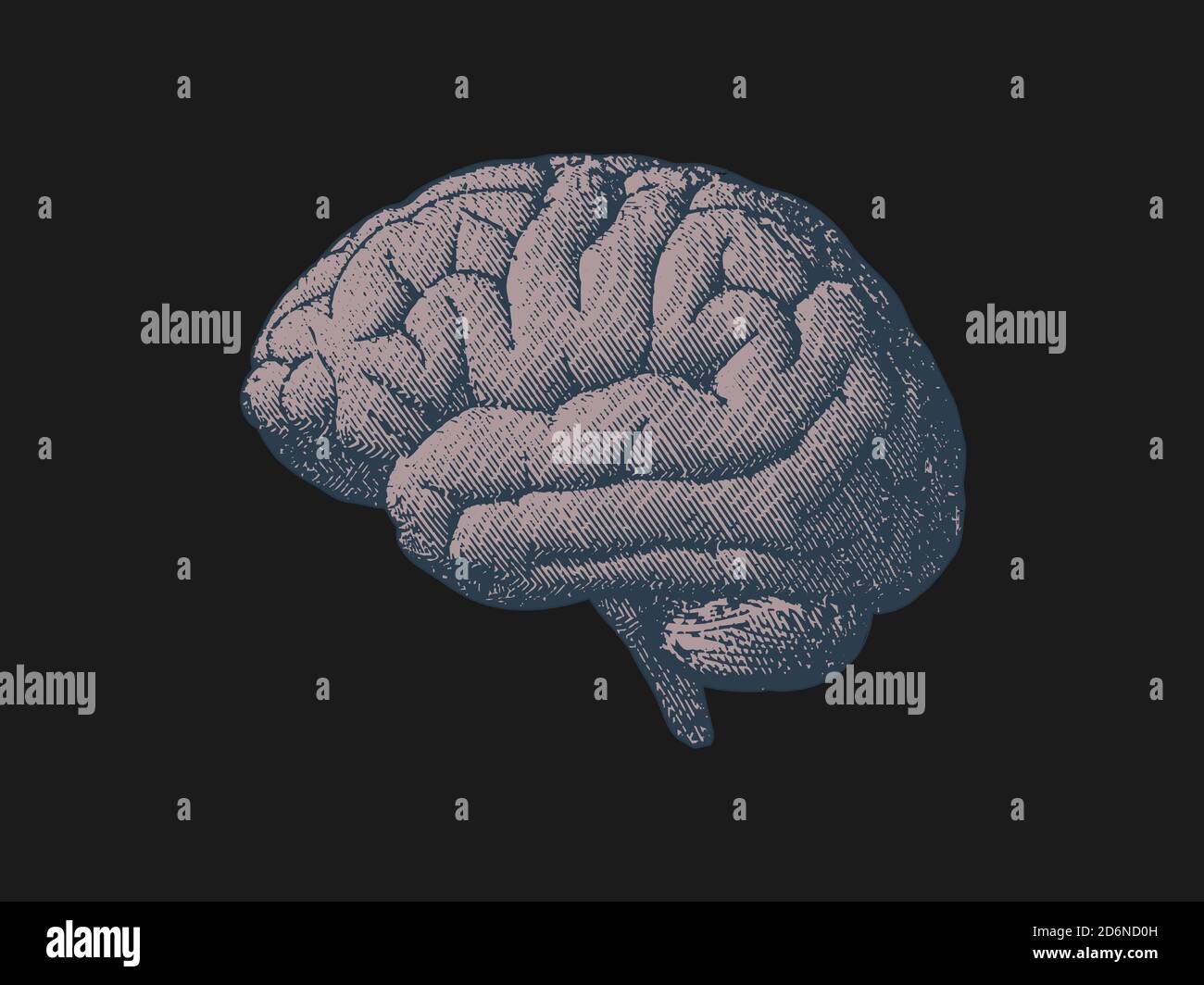 Side view brain engraving drawing in gray color tone on black ...