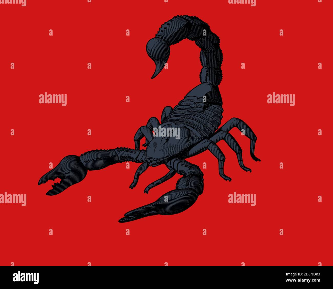 63,092 Scorpion Images, Stock Photos & Vectors | Shutterstock