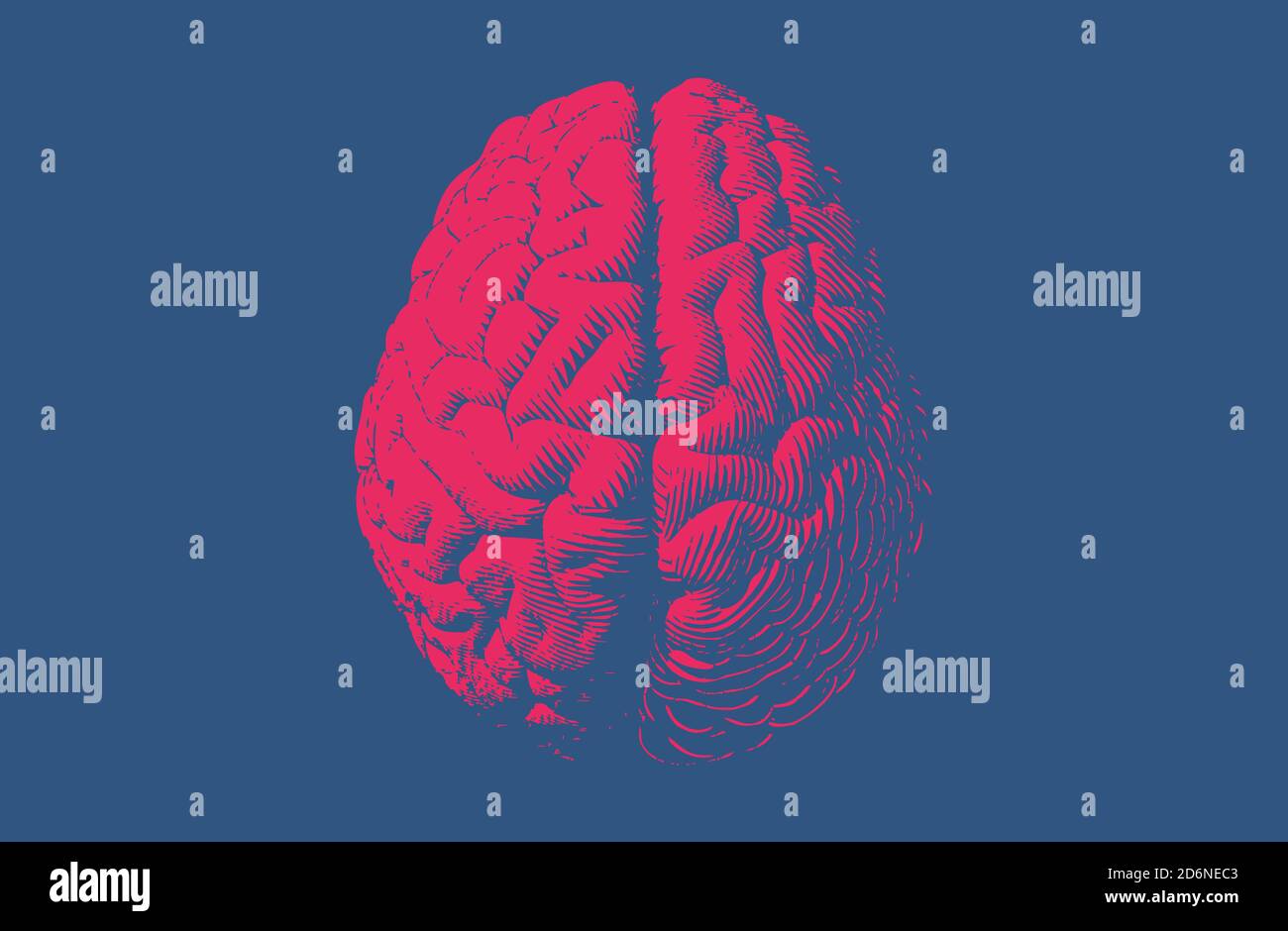 Red engraving brain illustration in top view isolated on blue ...