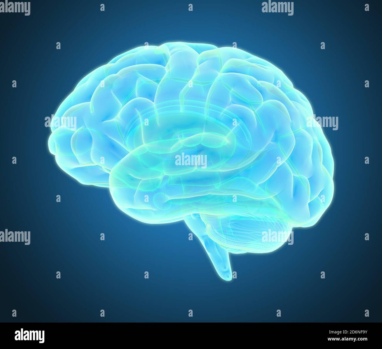 3D colorful glowing xray brain illustration in blue color tone isolated ...
