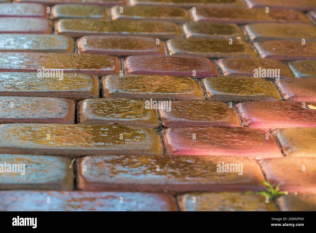 pink paving slab after rain for background Stock Photo