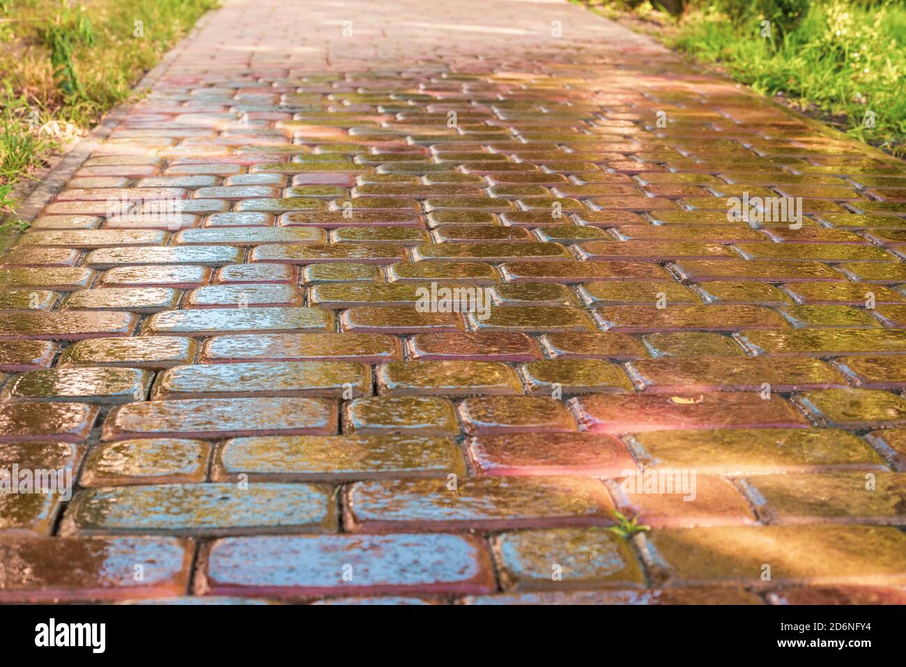 pink paving slab after rain for background Stock Photo